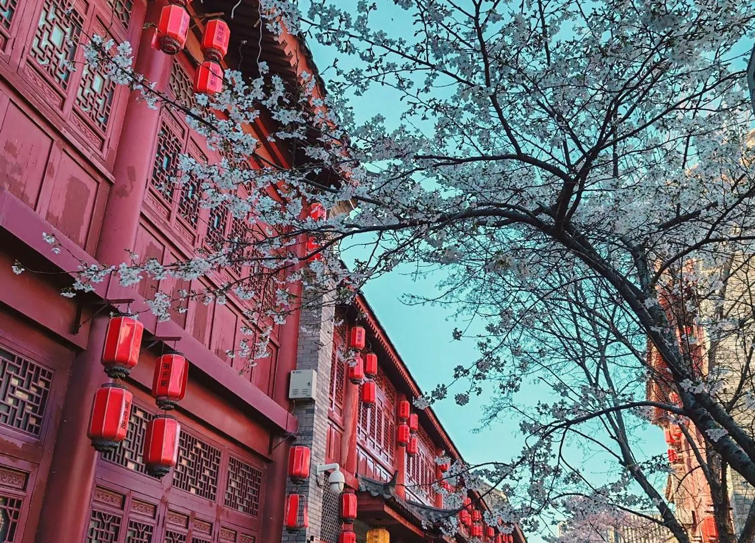 Qichi Waterfront B&B Hotel Lojang 3*,